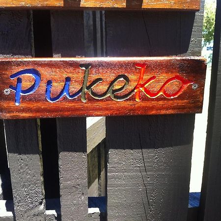 Pukeko On Bay Tauranga Exterior foto